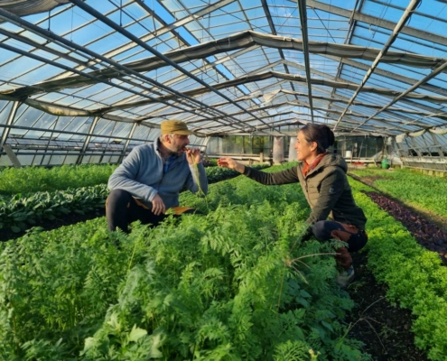 Atropa-Biomarktgartencatropa-8